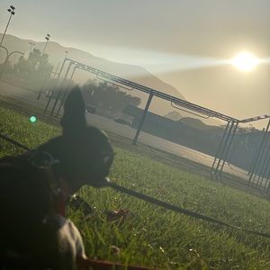 Meet your Posher, Edwin